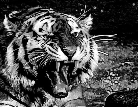Harimau nan salapan - ilustrasi gambar tiger-mczerrill-pixabay