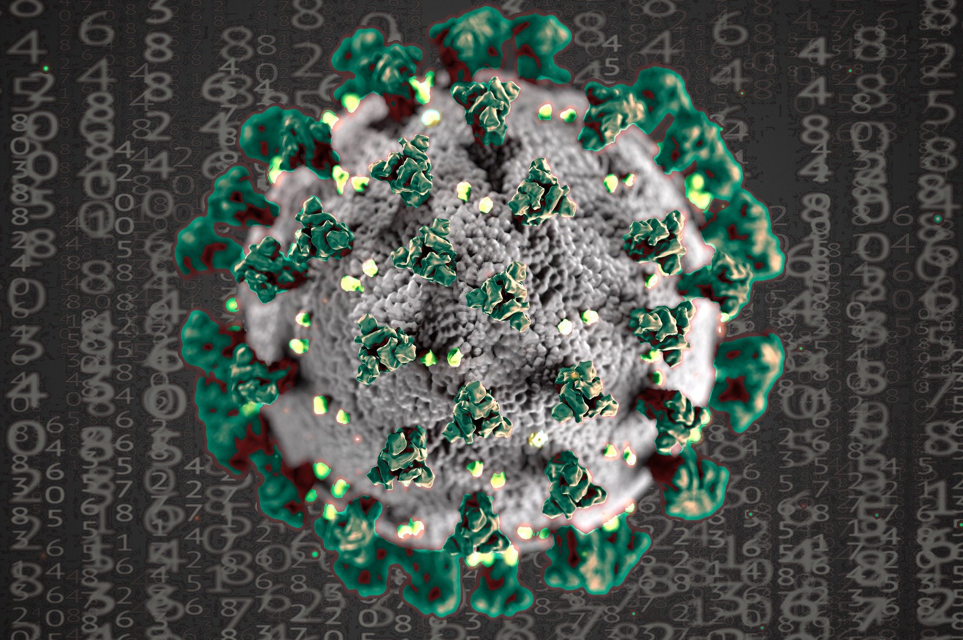 Ilustrasi coronavirus